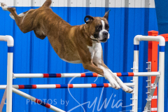 2024-3-10-May-Trial-535