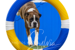 2024-3-10-May-Trial-536