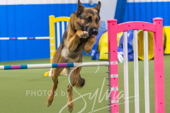 2024-3-10-May-Trial-537