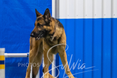 2024-3-10-May-Trial-538