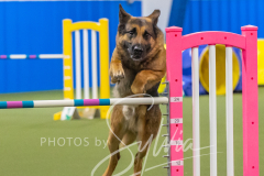 2024-3-10-May-Trial-539