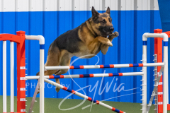 2024-3-10-May-Trial-540