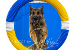 2024-3-10-May-Trial-541