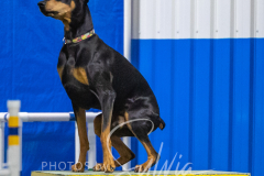 2024-3-10-May-Trial-542