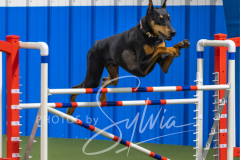 2024-3-10-May-Trial-543