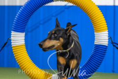 2024-3-10-May-Trial-544