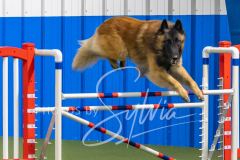 2024-3-10-May-Trial-545