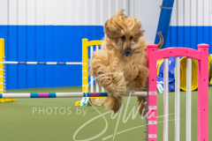 2024-3-10-May-Trial-547