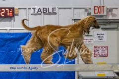 2024-3-10-May-Trial-548