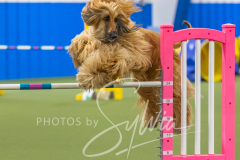 2024-3-10-May-Trial-549