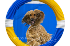 2024-3-10-May-Trial-550