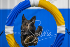 2024-3-10-May-Trial-551