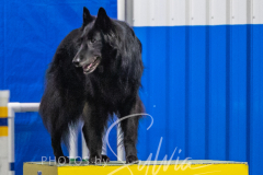 2024-3-10-May-Trial-553