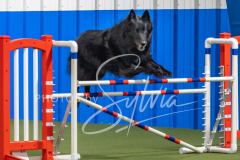 2024-3-10-May-Trial-554