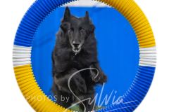 2024-3-10-May-Trial-555