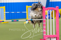 2024-3-10-May-Trial-556