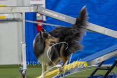 2024-3-10-May-Trial-558