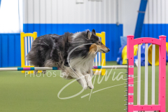 2024-3-10-May-Trial-559