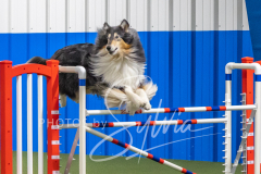 2024-3-10-May-Trial-560