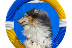 2024-3-10-May-Trial-561