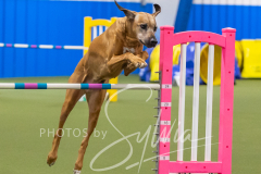 2024-3-10-May-Trial-563