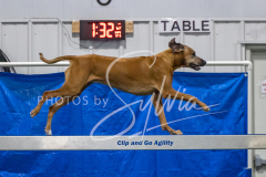 2024-3-10-May-Trial-564