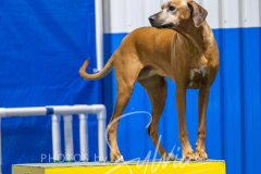 2024-3-10-May-Trial-565