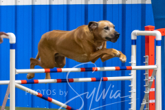 2024-3-10-May-Trial-566