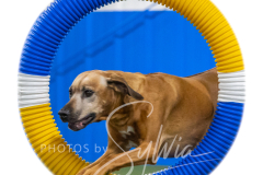 2024-3-10-May-Trial-567