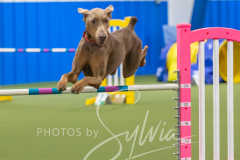 2024-3-10-May-Trial-569