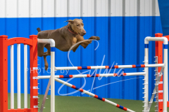 2024-3-10-May-Trial-570