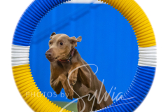 2024-3-10-May-Trial-571