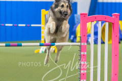 2024-3-10-May-Trial-574