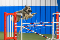 2024-3-10-May-Trial-575