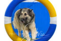 2024-3-10-May-Trial-576