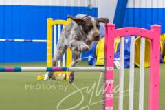 2024-3-10-May-Trial-577