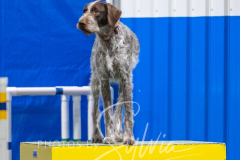 2024-3-10-May-Trial-579