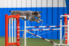 2024-3-10-May-Trial-581