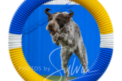 2024-3-10-May-Trial-582