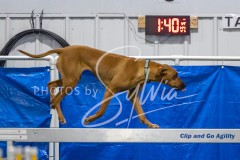 2024-3-10-May-Trial-584