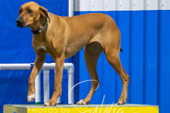 2024-3-10-May-Trial-585