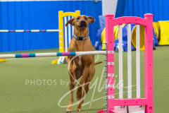 2024-3-10-May-Trial-586