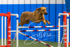 2024-3-10-May-Trial-587