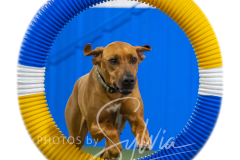 2024-3-10-May-Trial-588