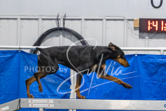 2024-3-10-May-Trial-589