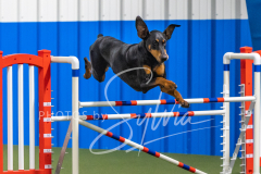 2024-3-10-May-Trial-590