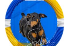 2024-3-10-May-Trial-591