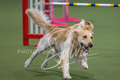 2024-3-10-May-Trial-594