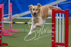 2024-3-10-May-Trial-595