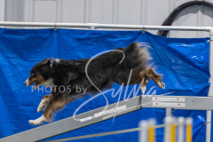 2024-3-10-May-Trial-599